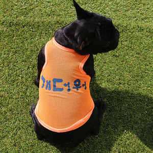 강아지 특이한옷 여름옷 망사 민소매 티셔츠(~3XL)